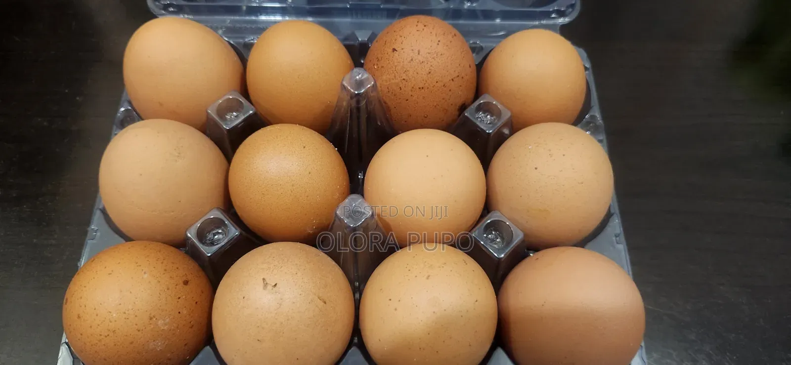 Fresh Farm Eggs