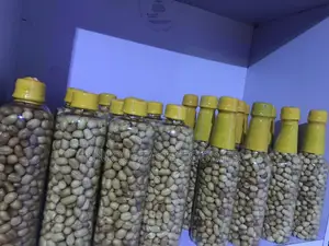 Sandfree Groundnuts