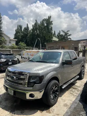 Ford F-150 2013 Gray
