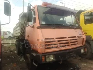 Steyr Tipper Truck 10 Tyres ((Foreign Used))