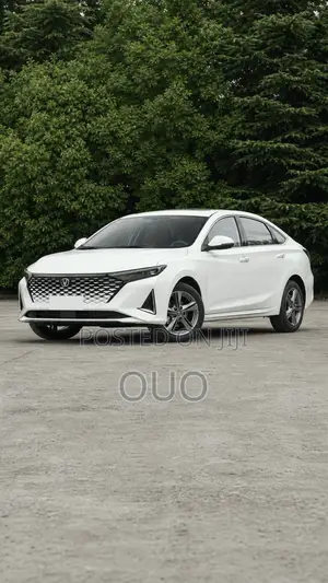 Changan Raeton 2020 White