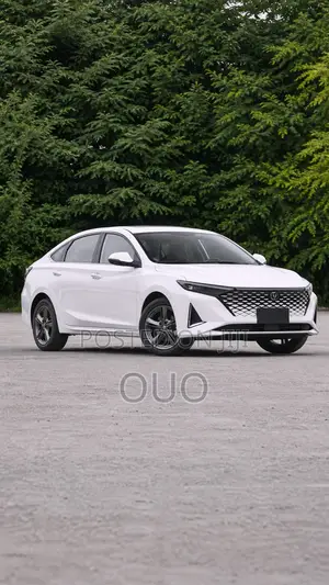Changan Raeton 2020 White