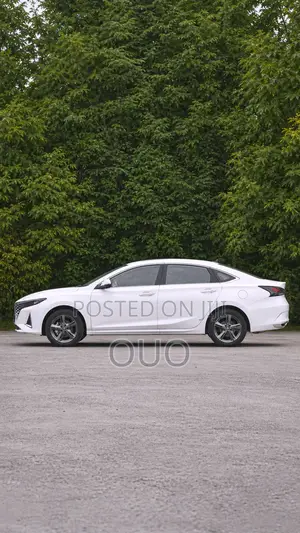 Changan Raeton 2020 White
