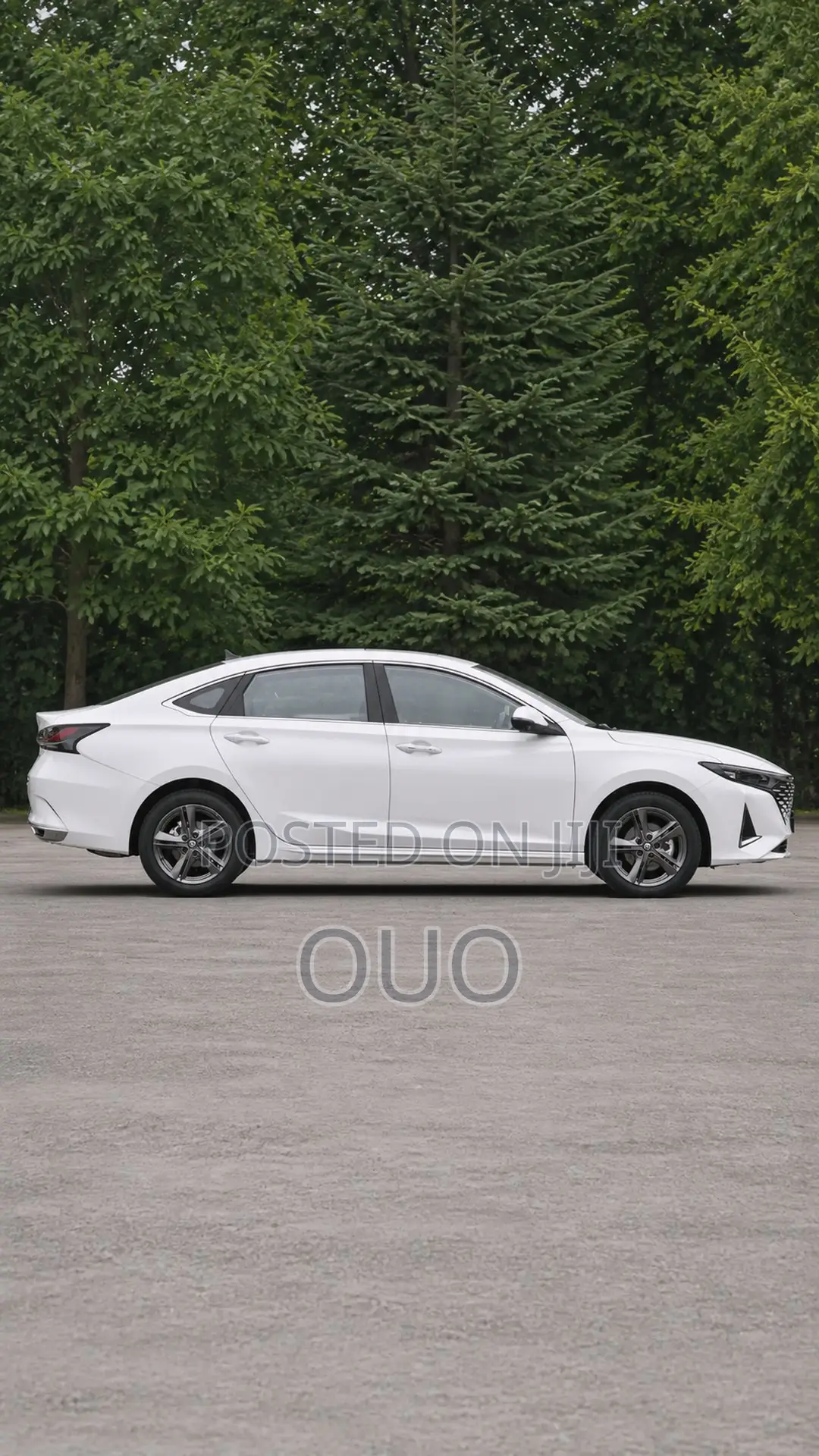 Changan Raeton 2020 White