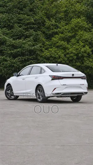 Changan Raeton 2020 White