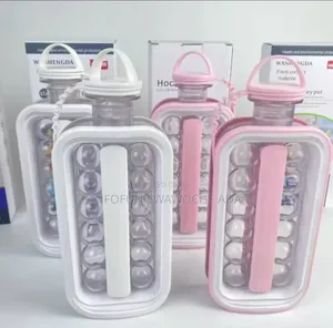 Ice Cubes Container
