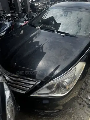 Hyundai Grandeur 2010 Model Best Importer and Distributor of Car