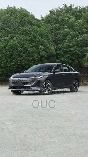 Changan Eado Plus 2025 Gray