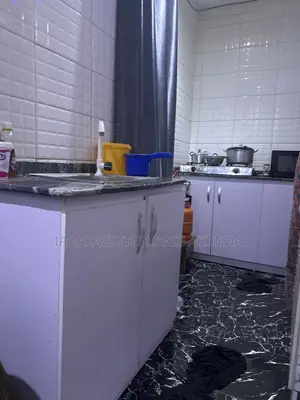 Shared Roommate in Mini Flat
