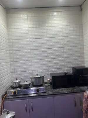 Shared Roommate in Mini Flat