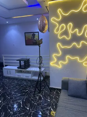 Shared Roommate in Mini Flat