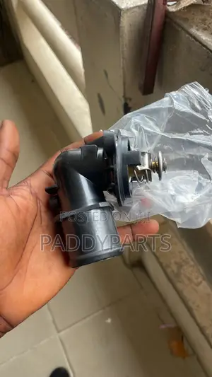 Dodge Ram Thermostat 3.0L ECODiesel (2014-2024) AB
