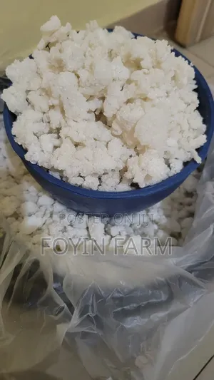 Tapioca Cassava Flask