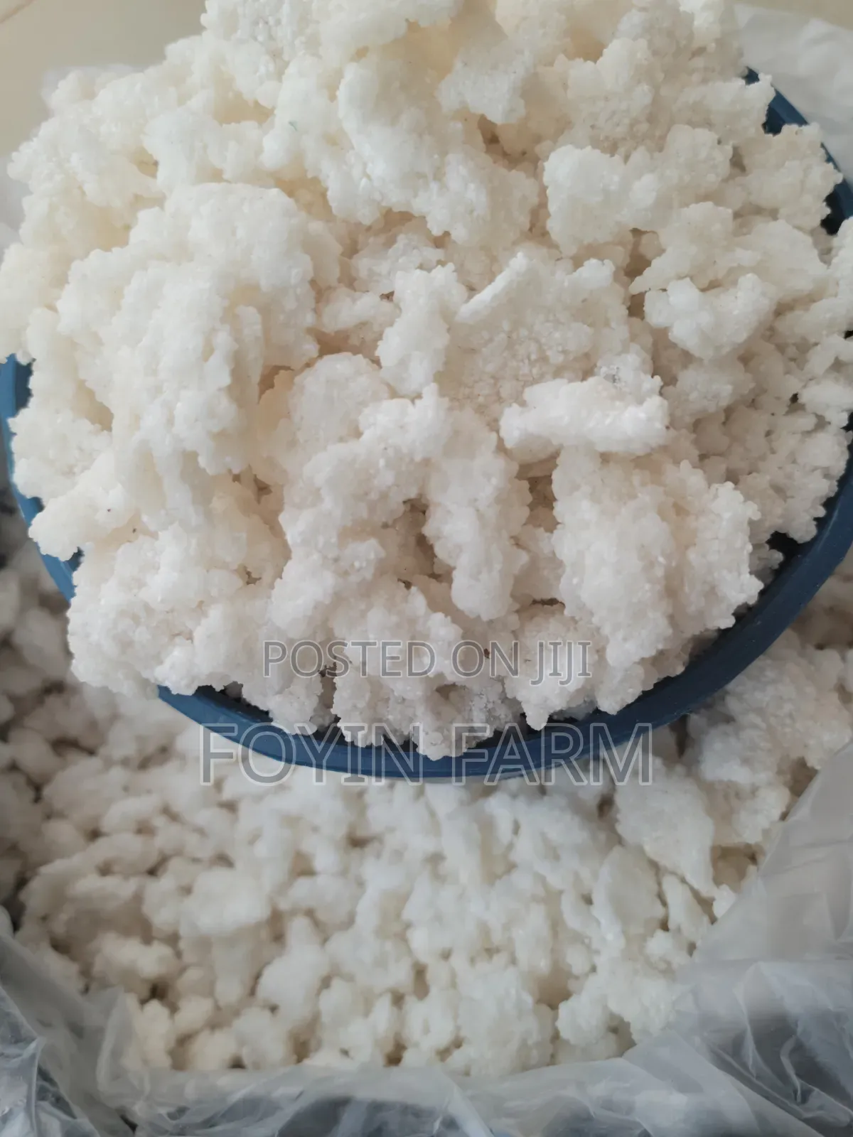 Tapioca Cassava Flask