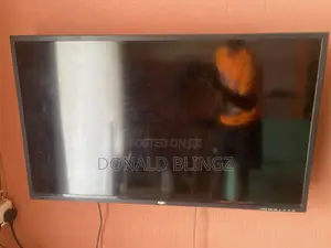Bush TV 43inch Neatly Used