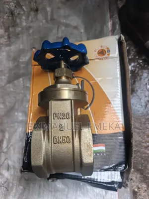2" Brass Gate Valve