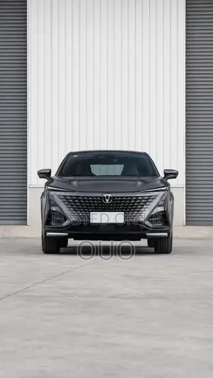 Changan UNI-T 2024 Gray