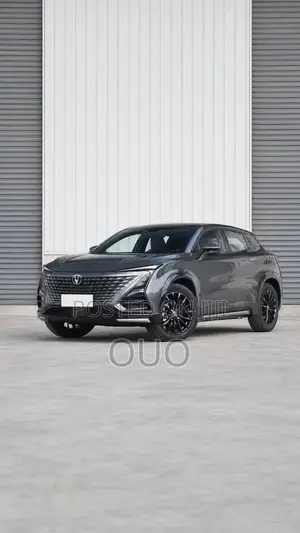 Changan UNI-T 2024 Gray
