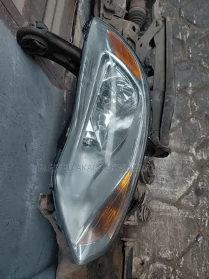 Front Grill Maxus