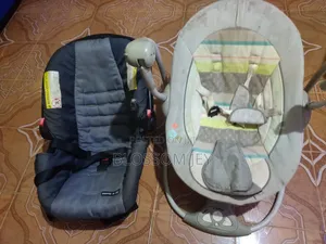 Baby Swing + Car Carrier