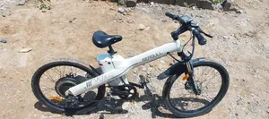 Seagull Electric Bicycle
