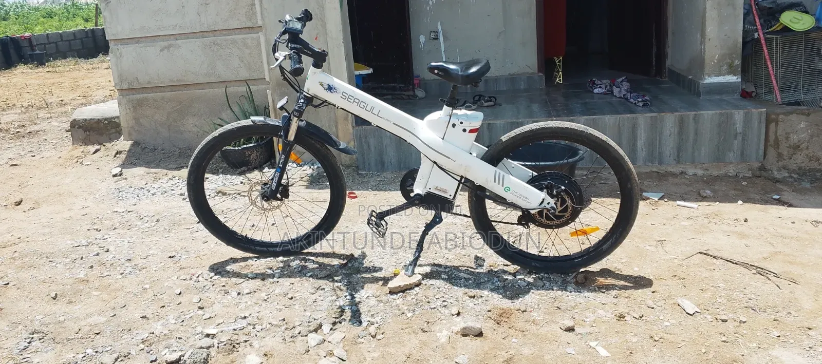 Seagull Electric Bicycle