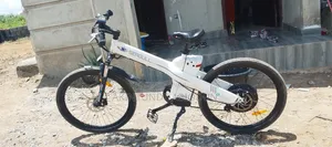 Seagull Electric Bicycle