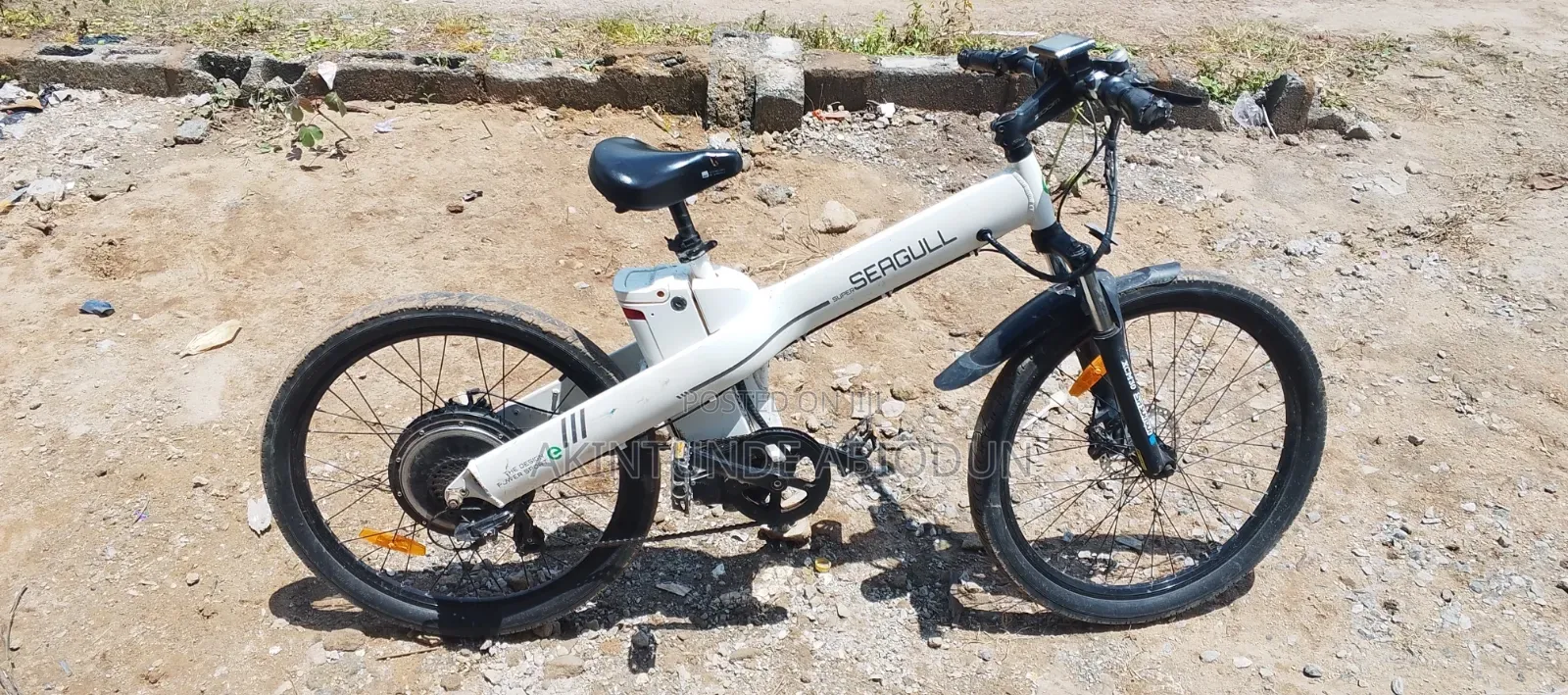 Seagull Electric Bicycle