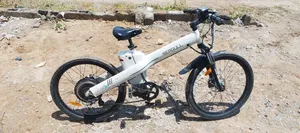 Seagull Electric Bicycle
