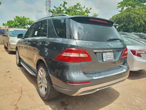 Mercedes-Benz M Class 2015 Gray