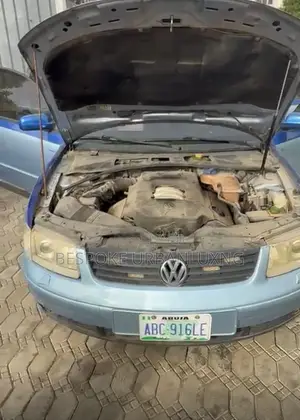 Volkswagen Passat 2004 Blue