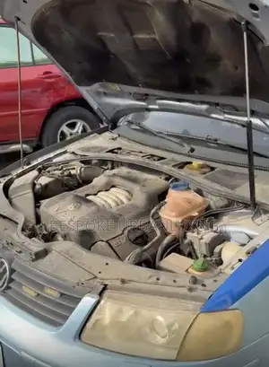 Volkswagen Passat 2004 Blue