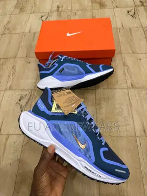Nike Pegasus 41 Gore Tex Sneakers