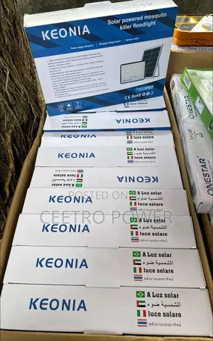Keonia 100watts Solar Flood Shape Light With Panel