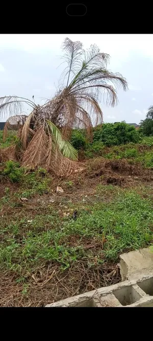 360sqmt Land at Isheri Oshun Ijegun Ikotun Lagos