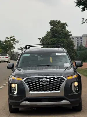Hyundai Palisade 2020 Gray