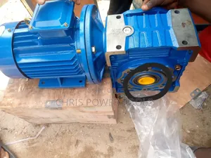 Induction Gear Motor