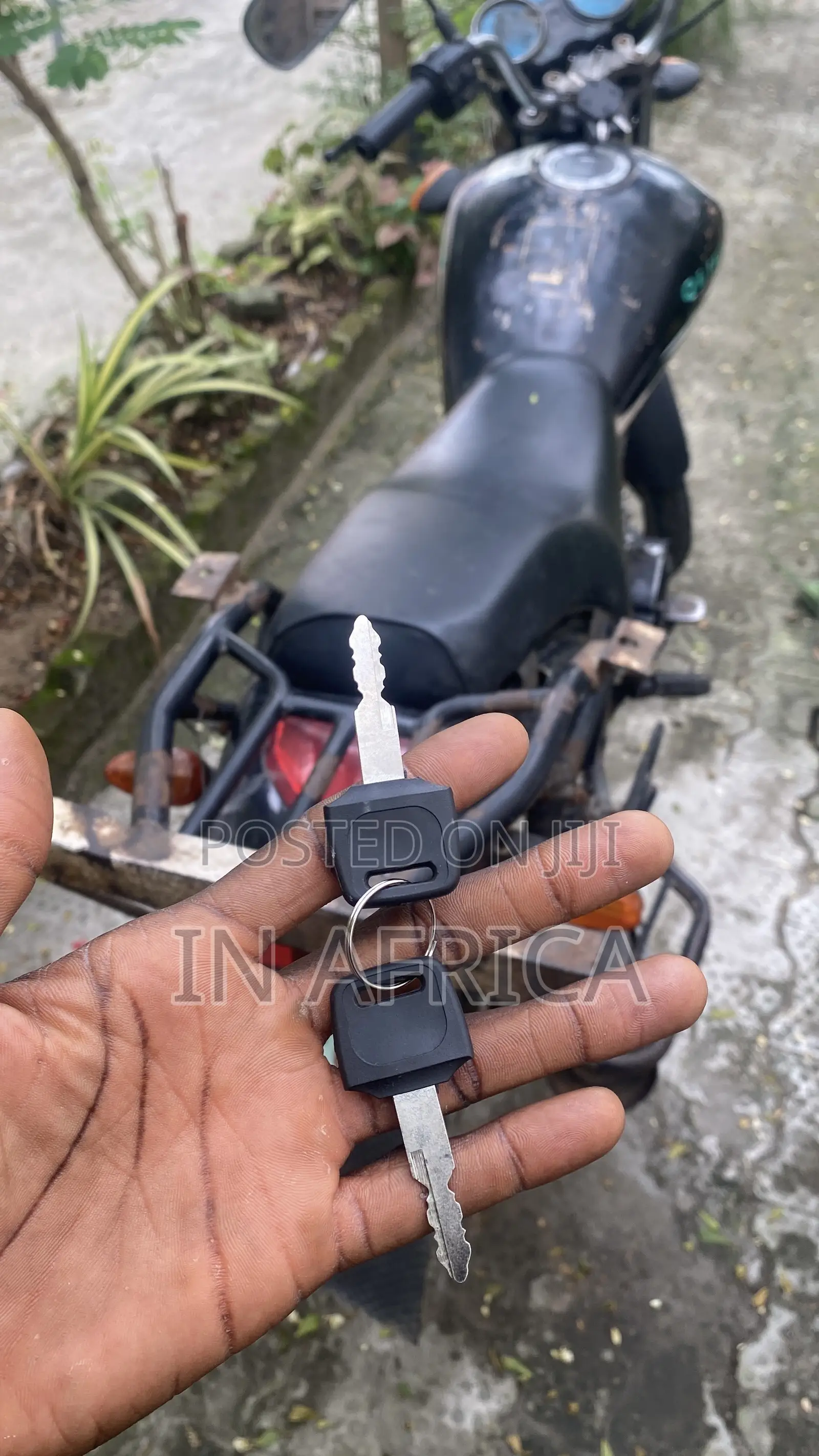 Qlink X-ranger 200 2024 Black