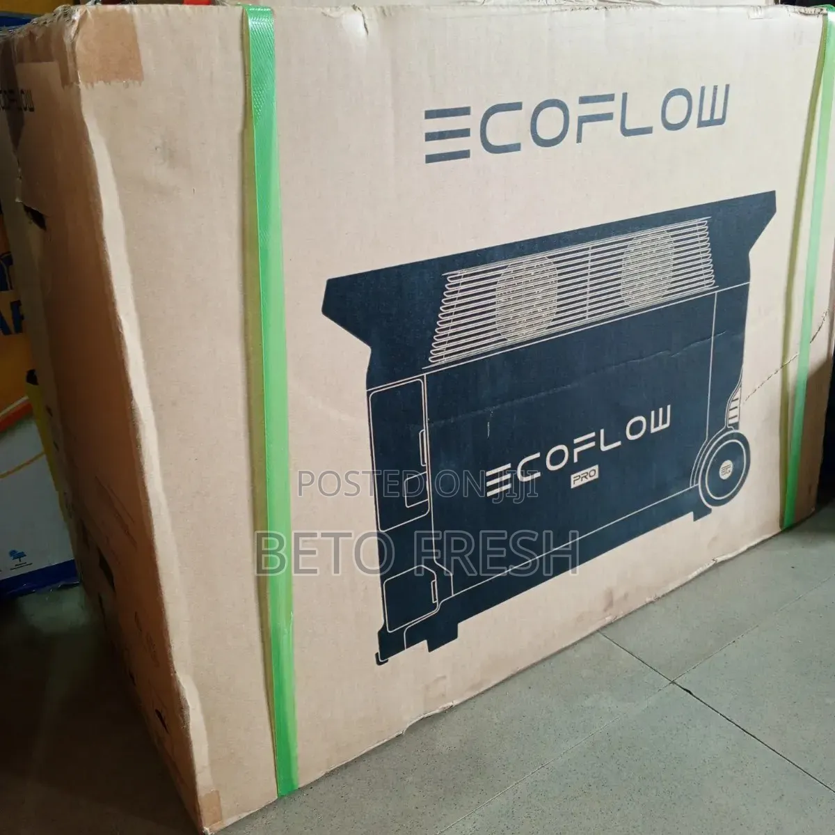 Eco Flow Delta Pro