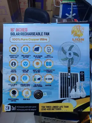 Lion Electric