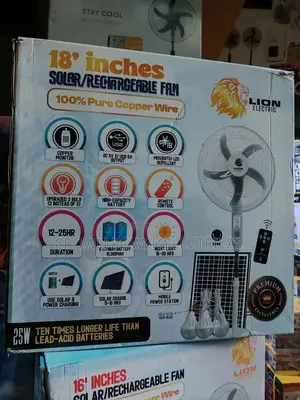 Lion Electric