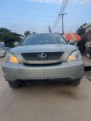 Lexus RX 2010 Gray