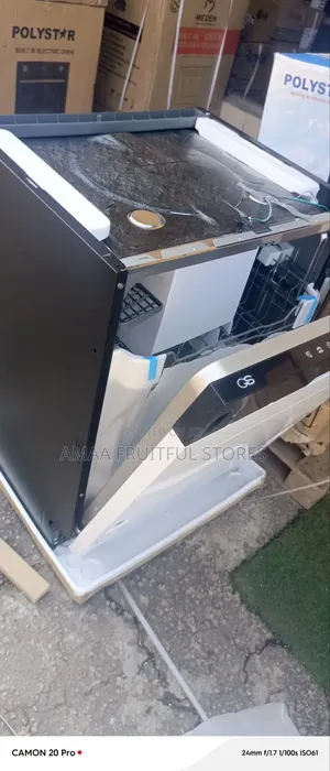 GS Built-in Dishwasher