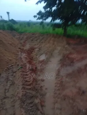 Acre of Virgin Land