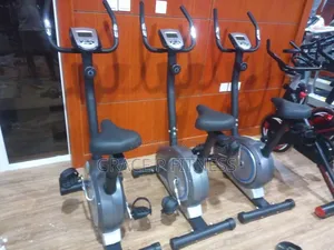 Magnetic Bike