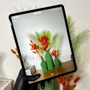 Apple iPad Pro 12.9 (2018) 512 GB Gray
