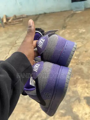 Brand New Nike Sb