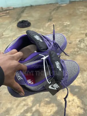 Brand New Nike Sb