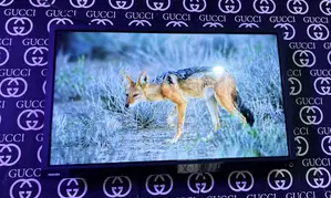 Toshiba 32”inches Led TV