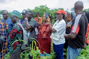Farmland Available for Sale in Mokoloki Mowe Ofada Ogun State.